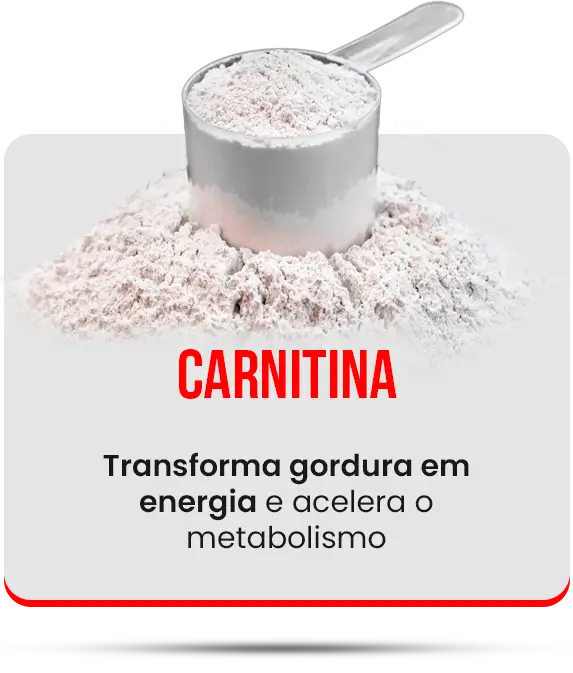 carnitina